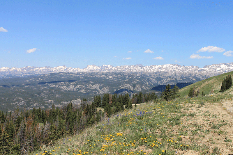 2. The Beartooth Highway